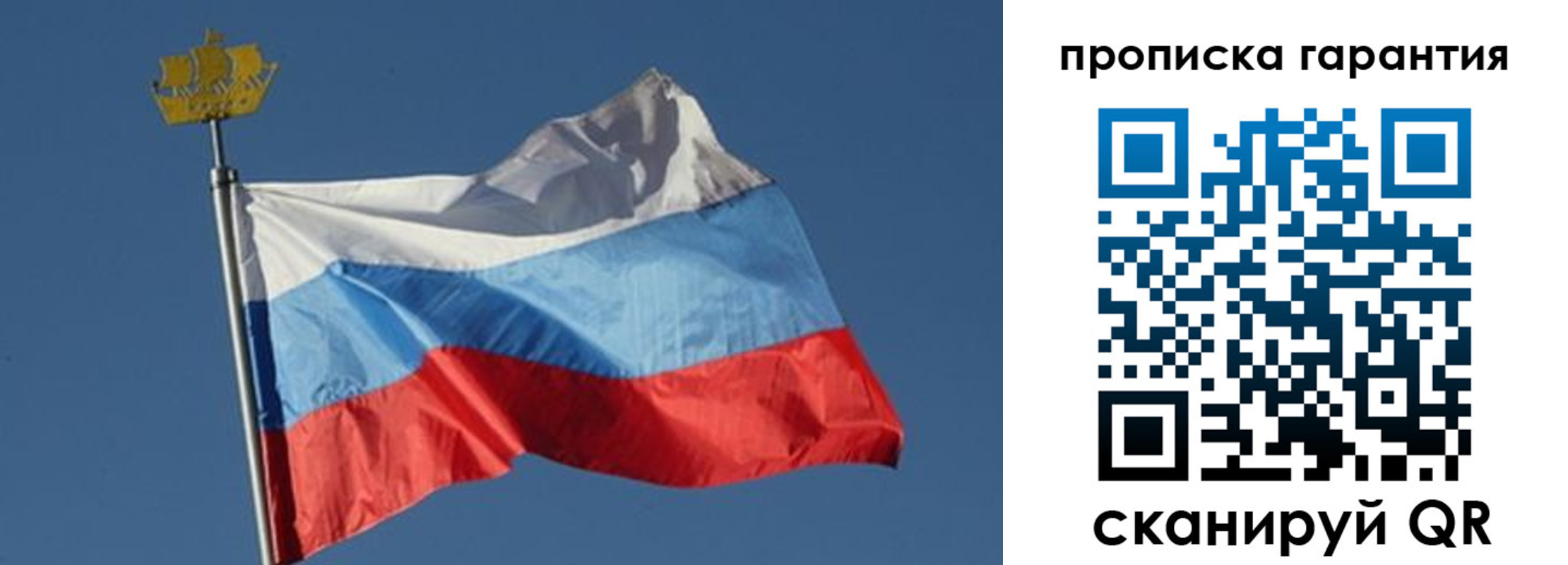 прописка для работы в Невеле